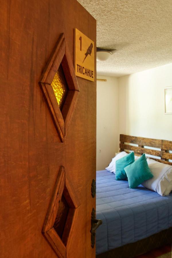 Hostal Aldea Colchagua Experience Santa Cruz Ngoại thất bức ảnh