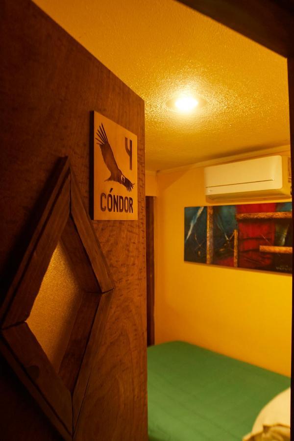 Hostal Aldea Colchagua Experience Santa Cruz Ngoại thất bức ảnh